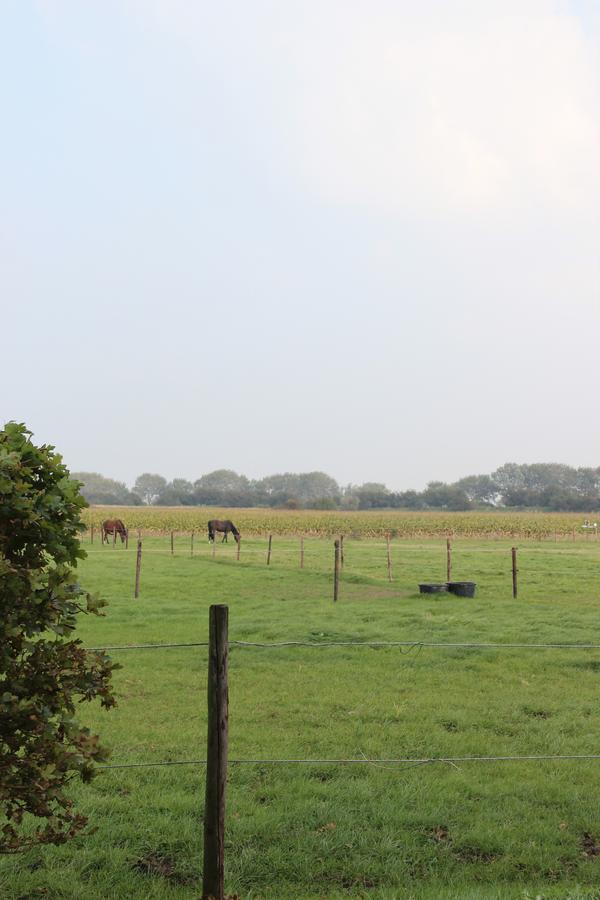 Gastenverblijven Boerderij Het Driespan Middelburg Exterior photo